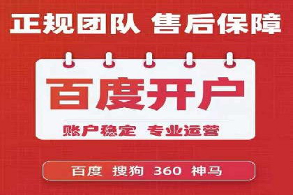 竞价推广实战：案例分析行业领军企业的成功之道